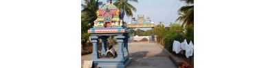 126. திருகருவிலி கொட்டிடை